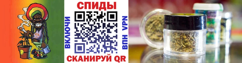 Купить  Курск  БУТИРАТ оксана 