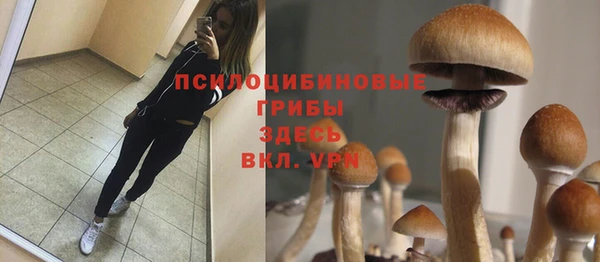 бутират Михайловск
