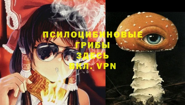 MDMA Premium VHQ Медвежьегорск
