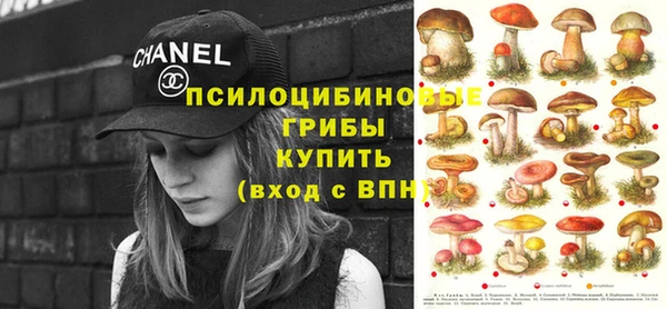 прущая мука Михайлов