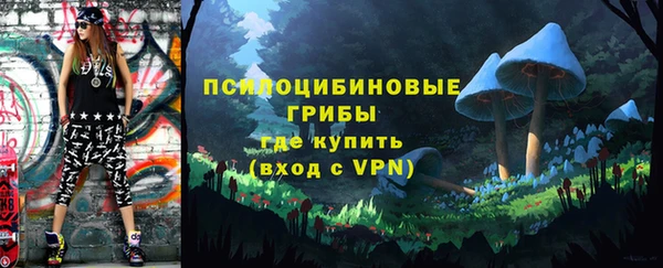 MDMA Premium VHQ Медвежьегорск