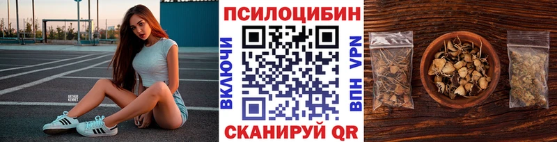 Купить  Курск  Галлюциногенные грибы Cubensis 